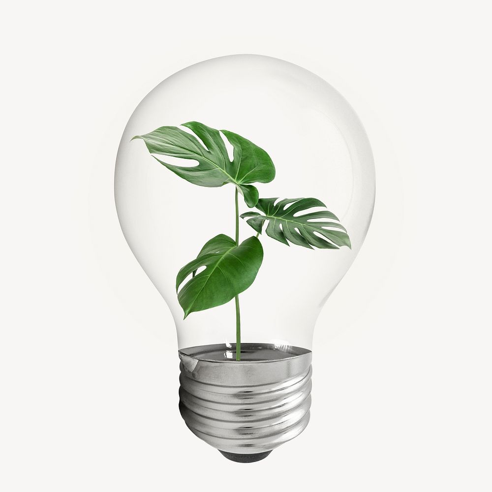Monstera leaf bulb, creative plant concept psd