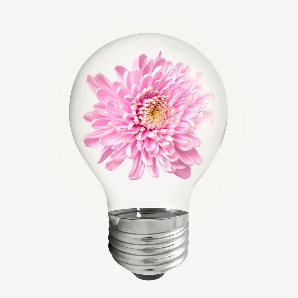 Chrysanthemum flower light bulb, Spring aesthetic graphic psd