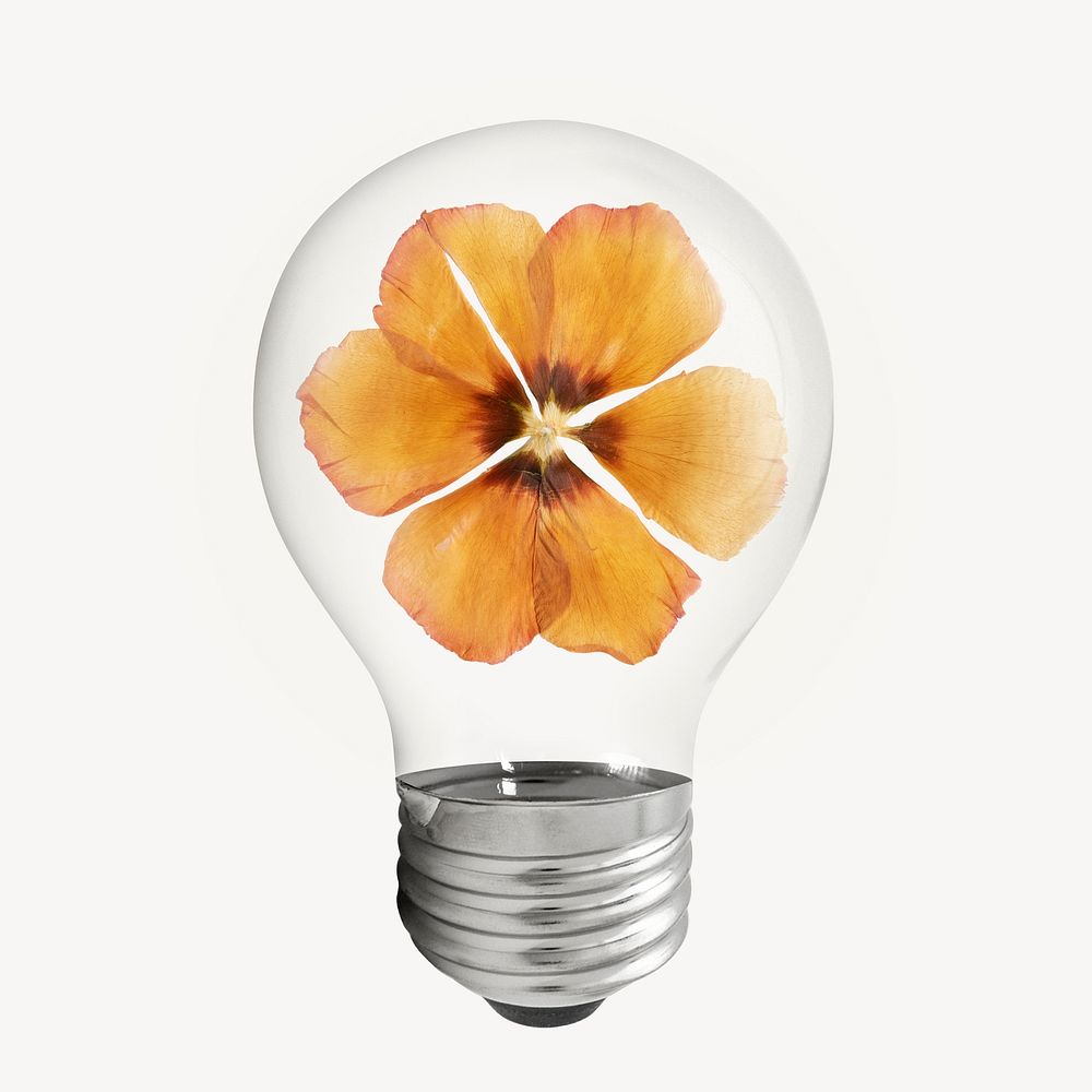 Dry anemone flower light bulb, Autumn aesthetic graphic psd