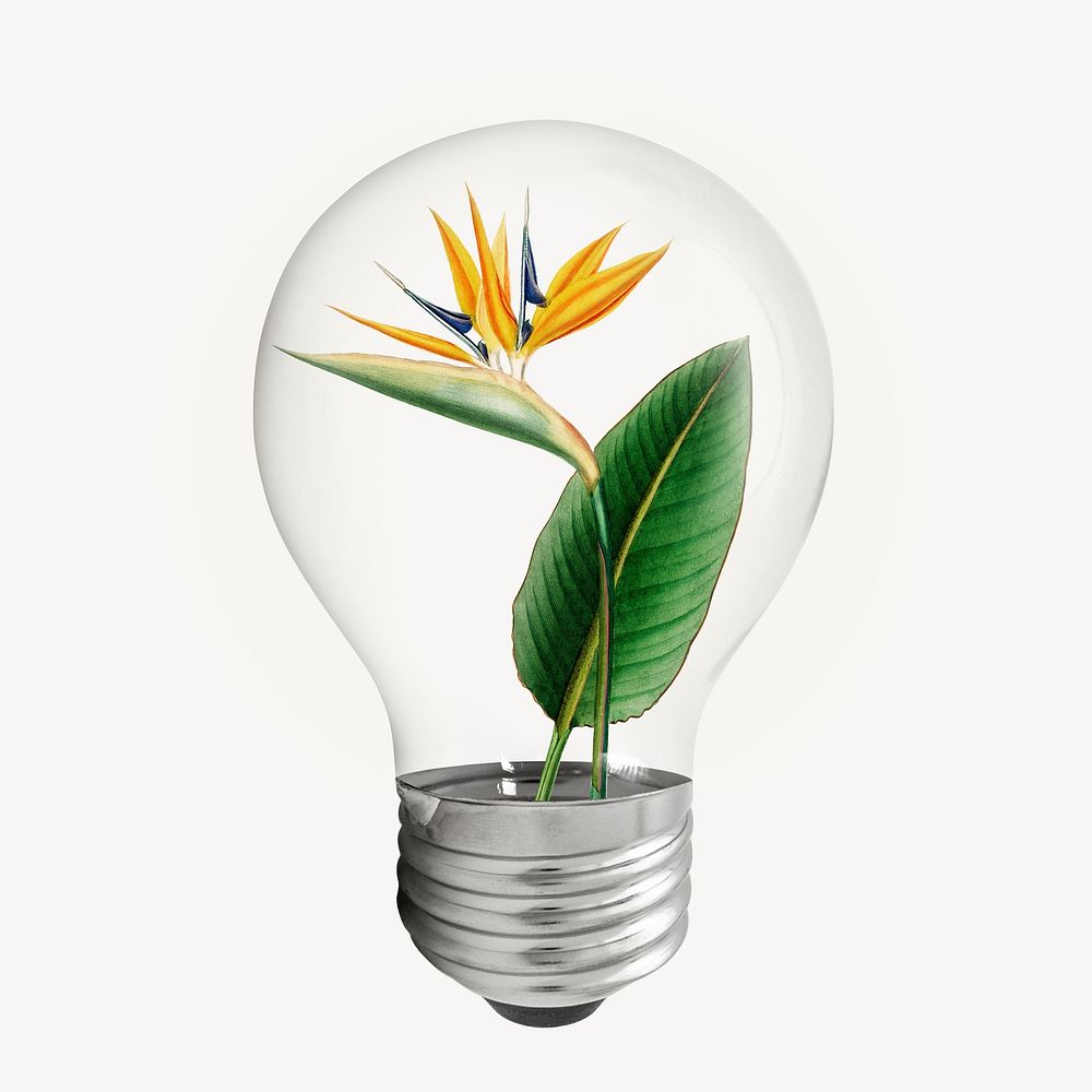 Bird paradise flower light bulb sticker, botanical aesthetic graphic psd