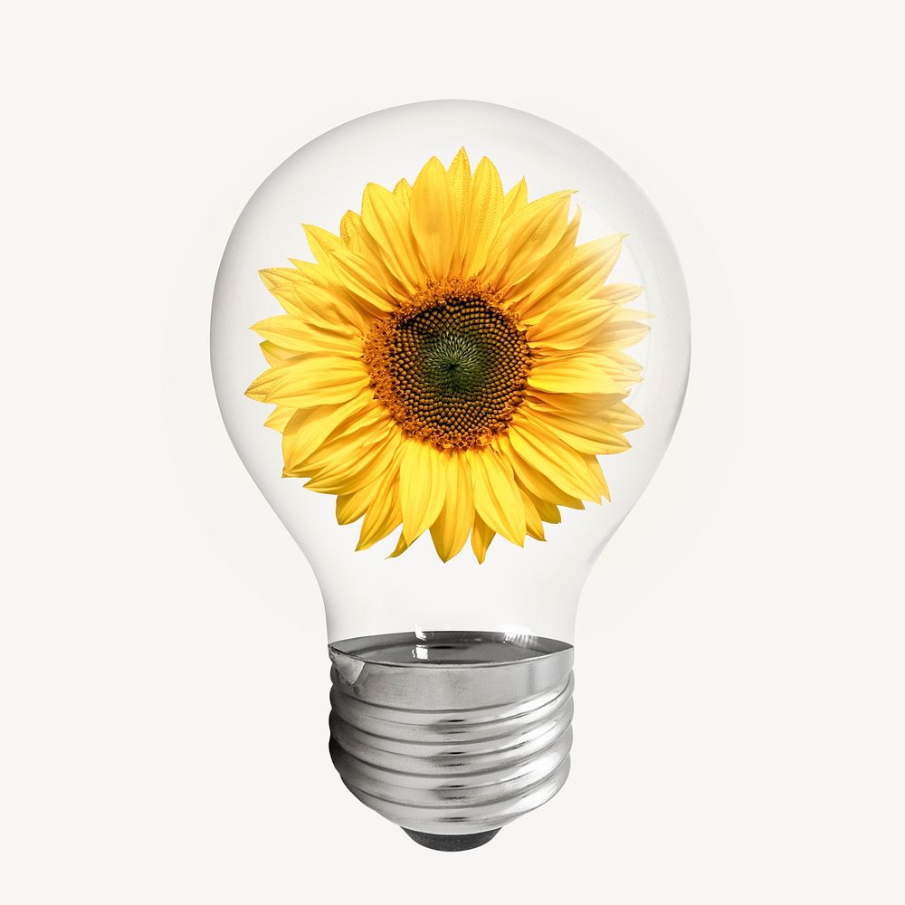Sunflower flower light bulb, Spring aesthetic graphic