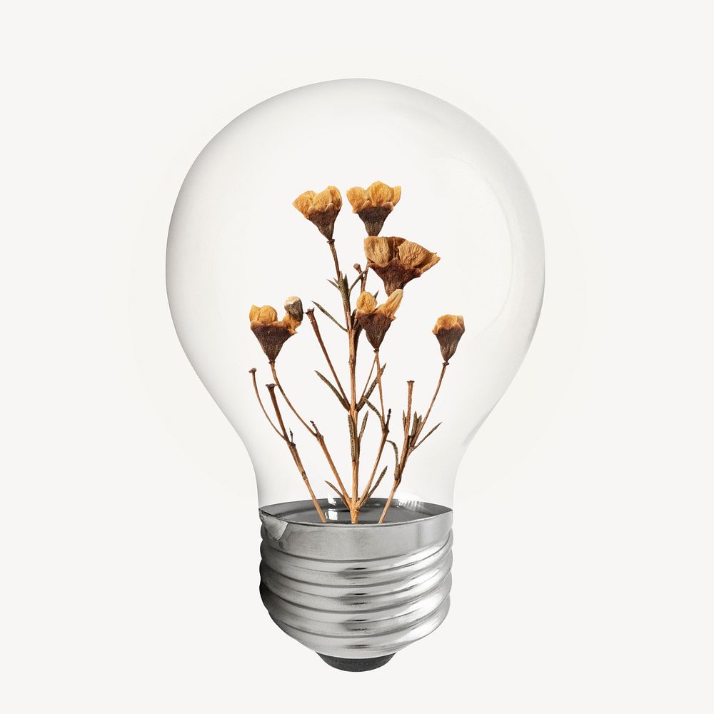 Dry flower bulb, Autumn aesthetic collage