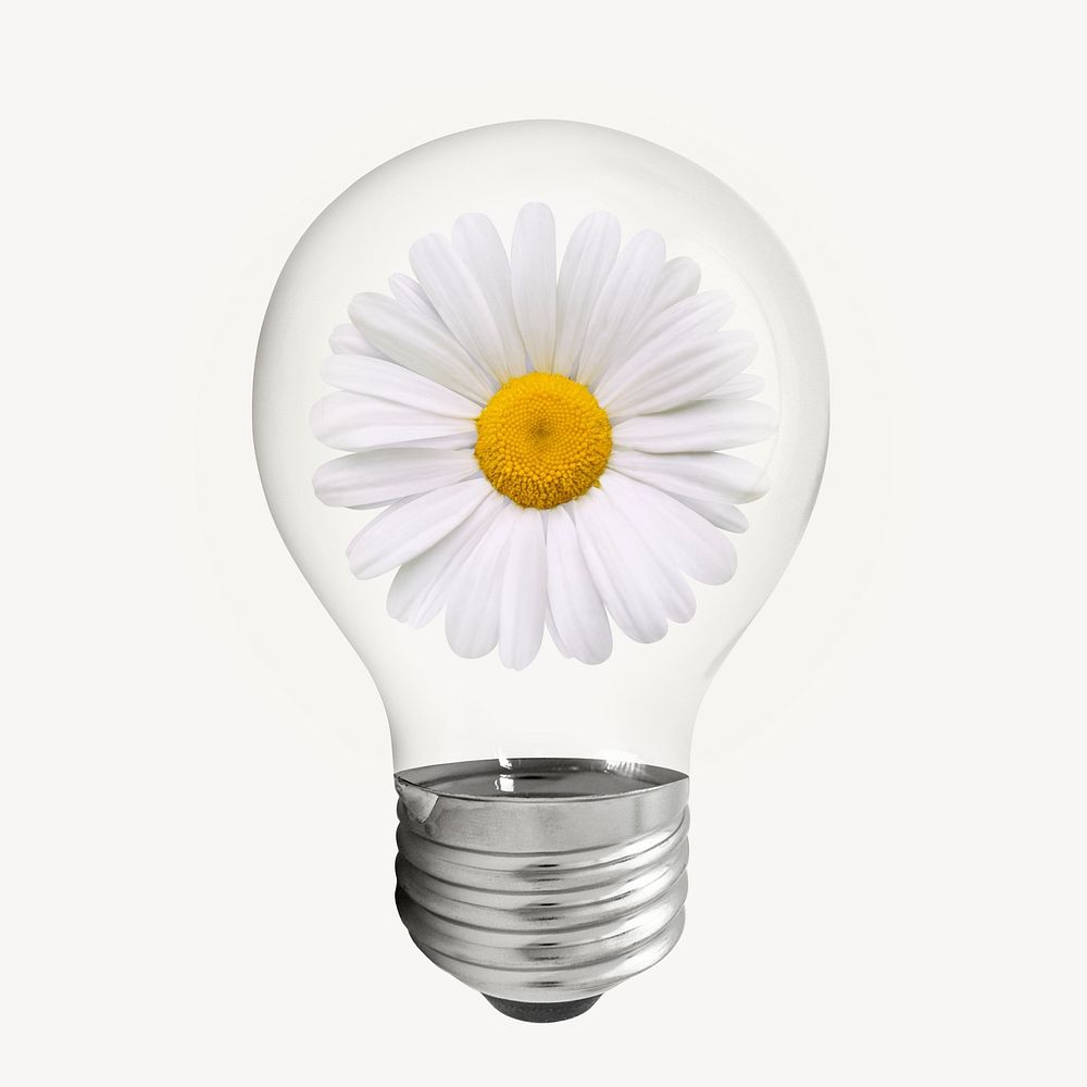 Daisy flower light bulb, Spring aesthetic graphic psd