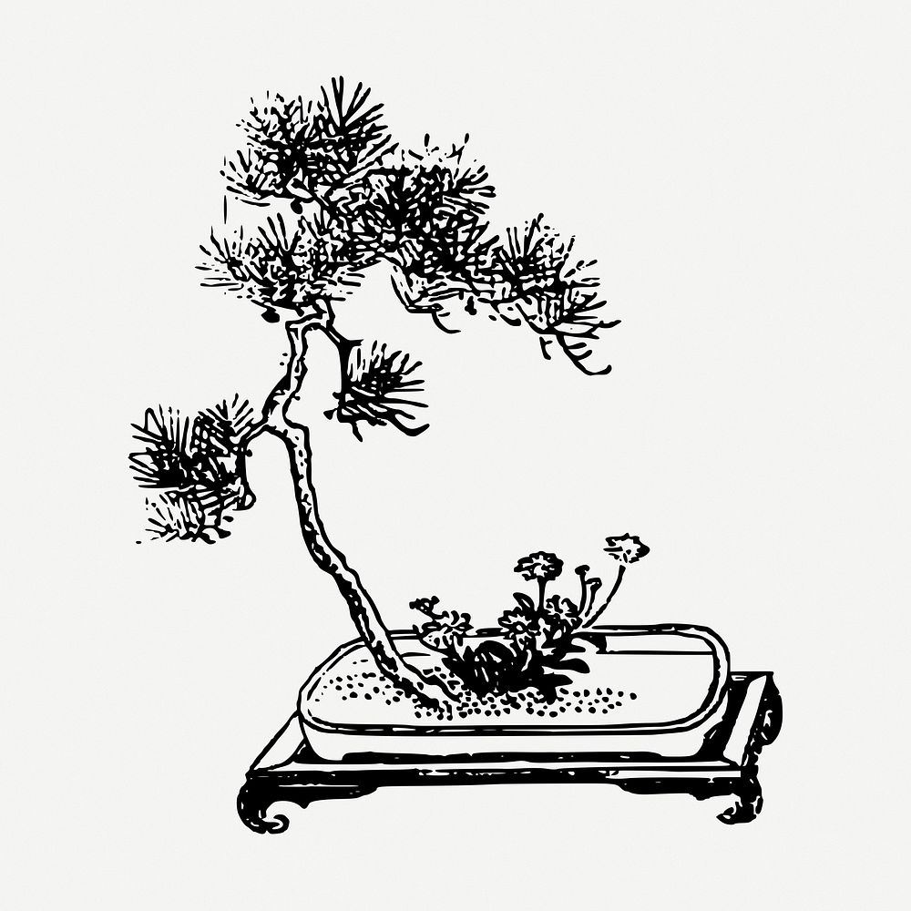 Bonsai tree drawing, vintage botanical illustration psd. Free public domain CC0 image.