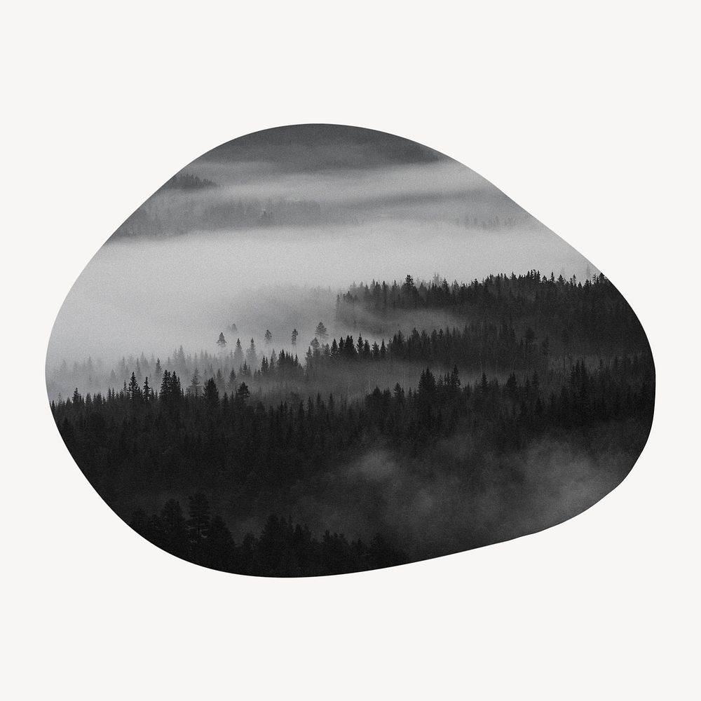 Foggy forest badge, nature photo in blob shape