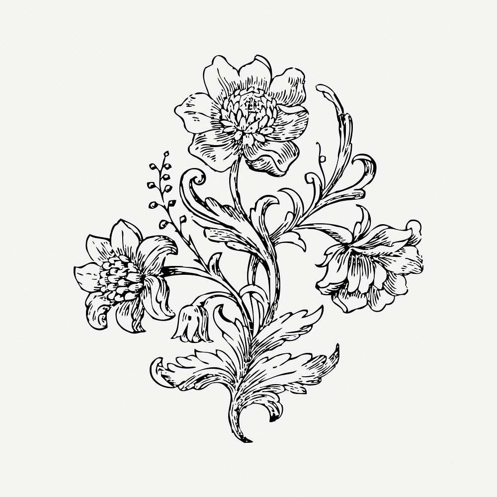 Ornamental flower drawing, vintage botanical illustration psd. Free public domain CC0 image.