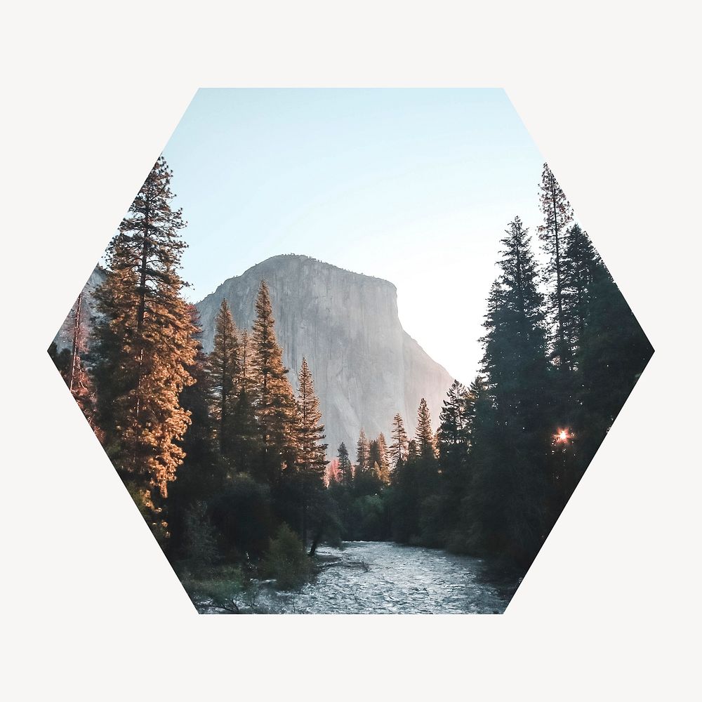 Lake forest badge, nature photo in hexagon shape