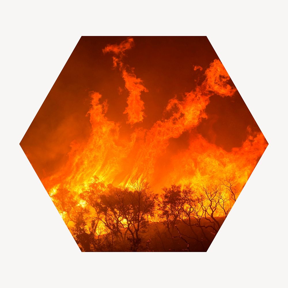 Wildfire badge, global warming, climate change photo in hexagon shape