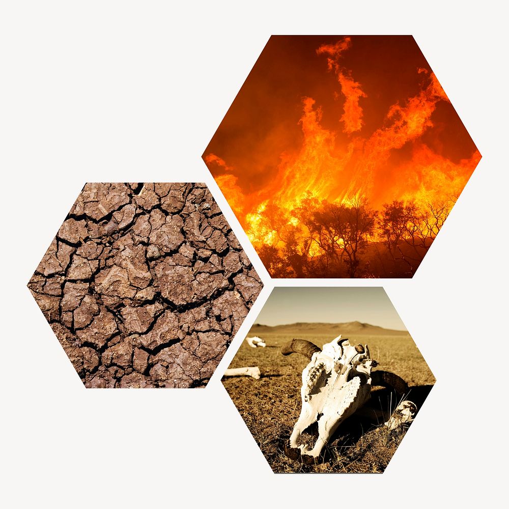 Global warming badge, animal endangerment photo in hexagon shape