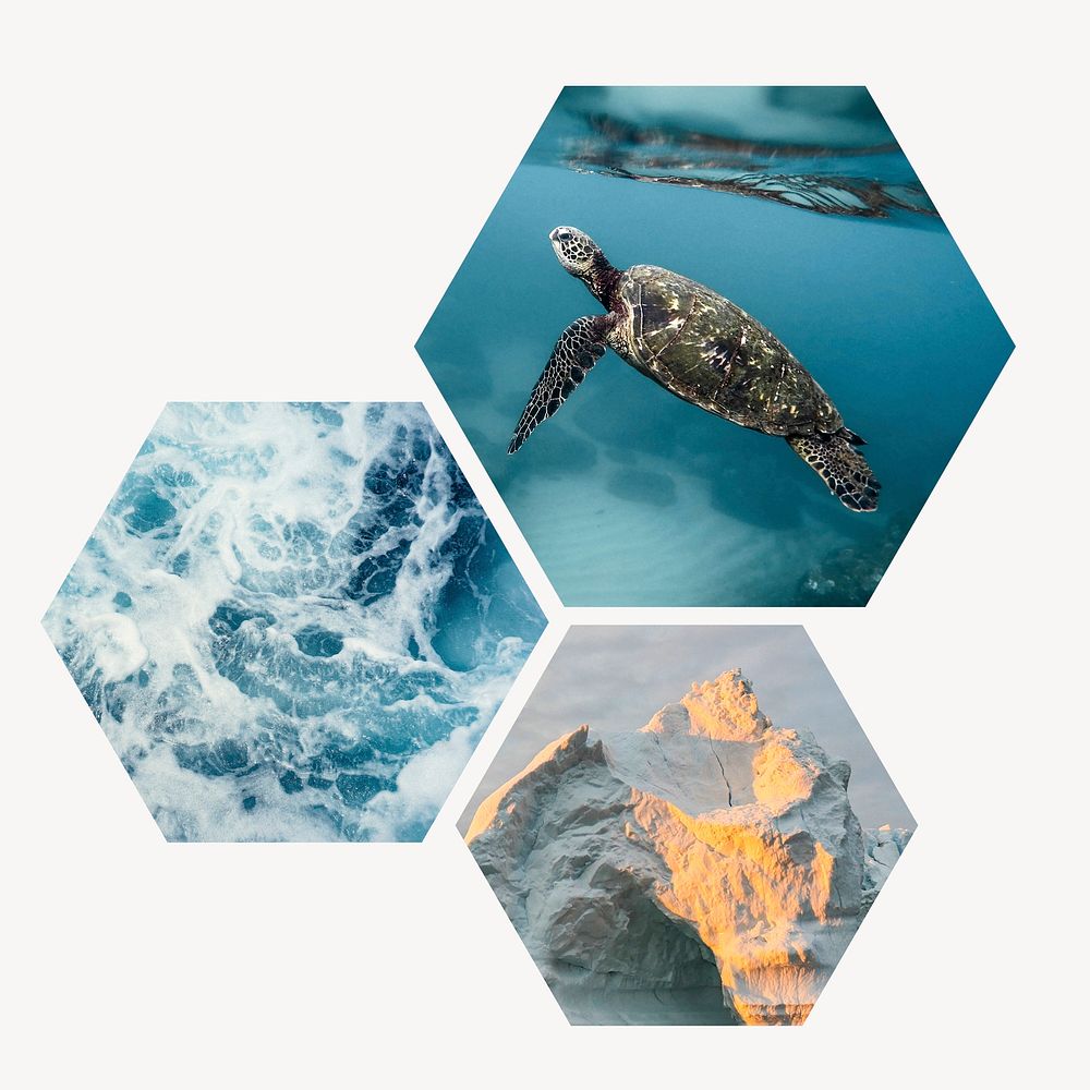 Melting ocean badge, climate change photo in hexagon shape