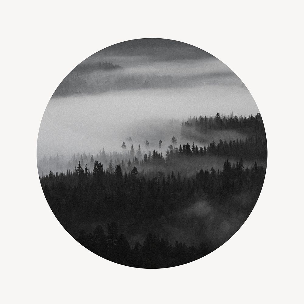 Foggy forest badge, nature photo in round shape