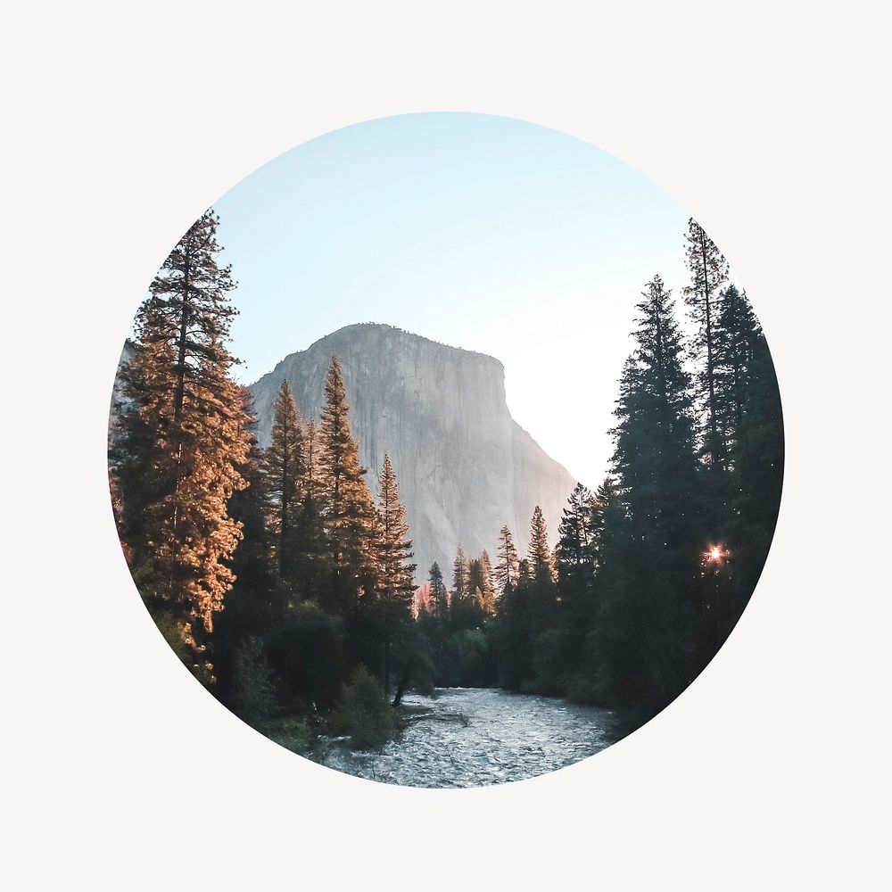Lake forest badge, nature photo in round shape