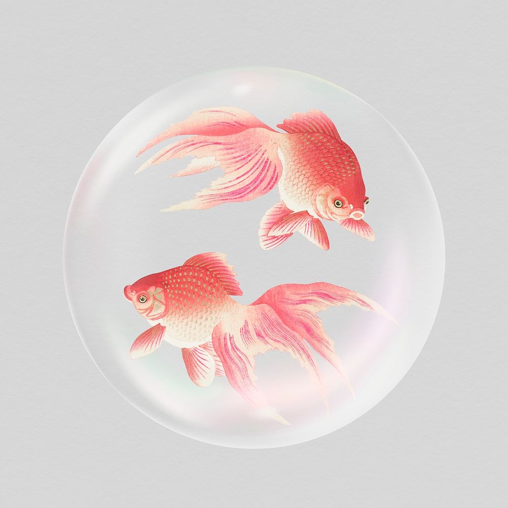 Swimming goldfish sticker, animal in bubble psd