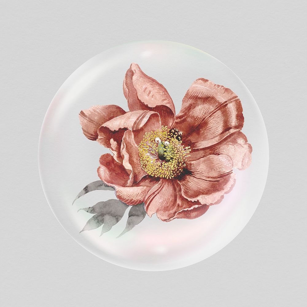Dry pink flower sticker, Autumn bubble concept art psd