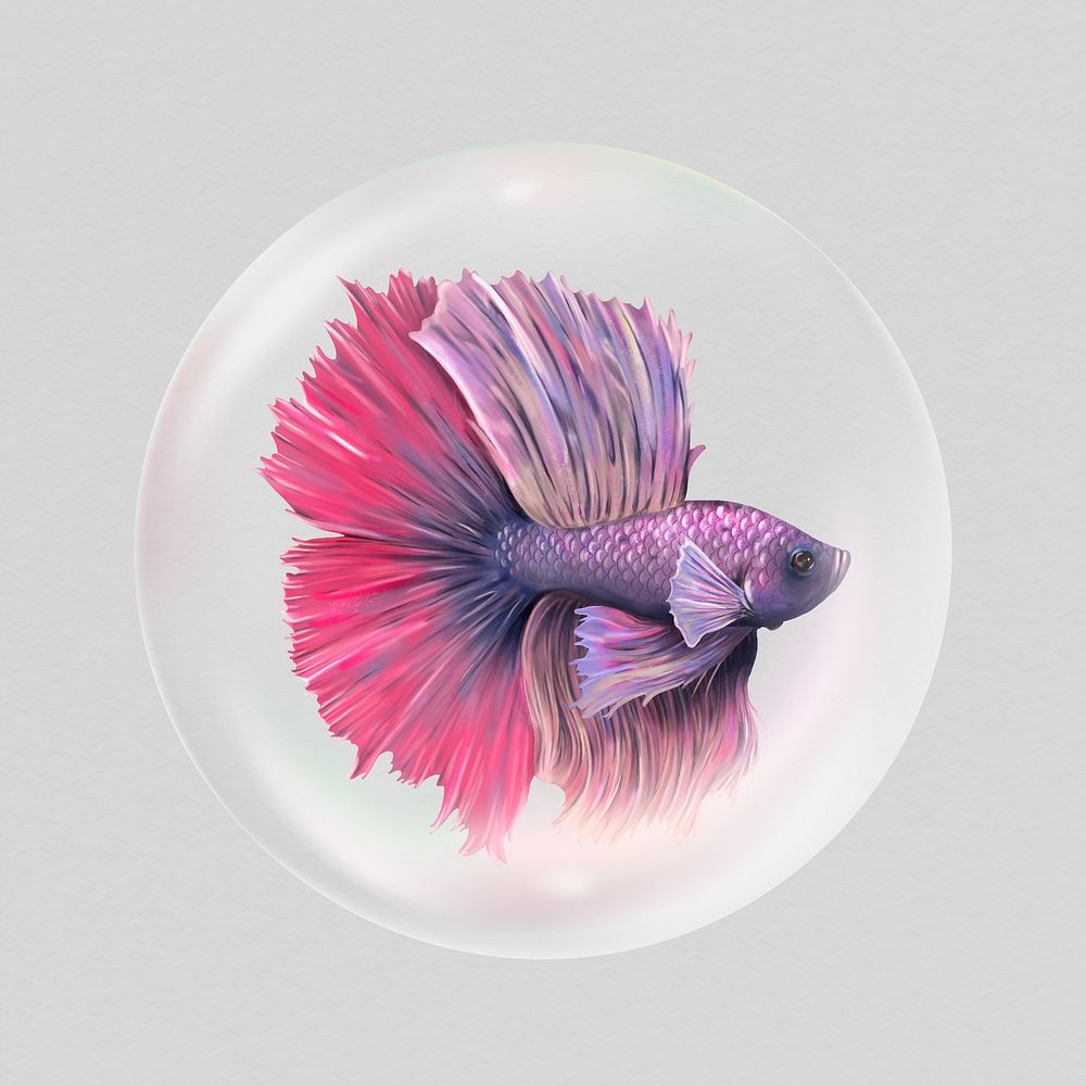 Siamese fighting fish in bubble, aquatic animal concept art