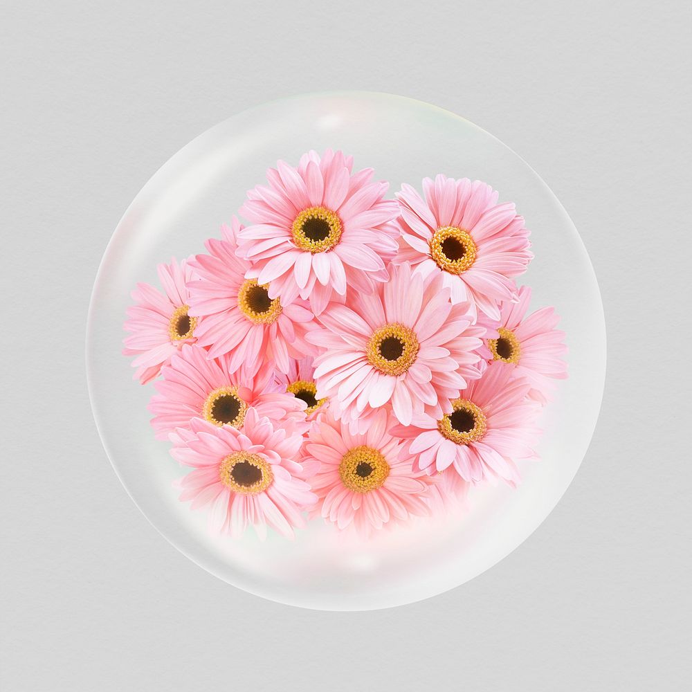 Pink daisy flowers sticker, Spring bubble concept art psd