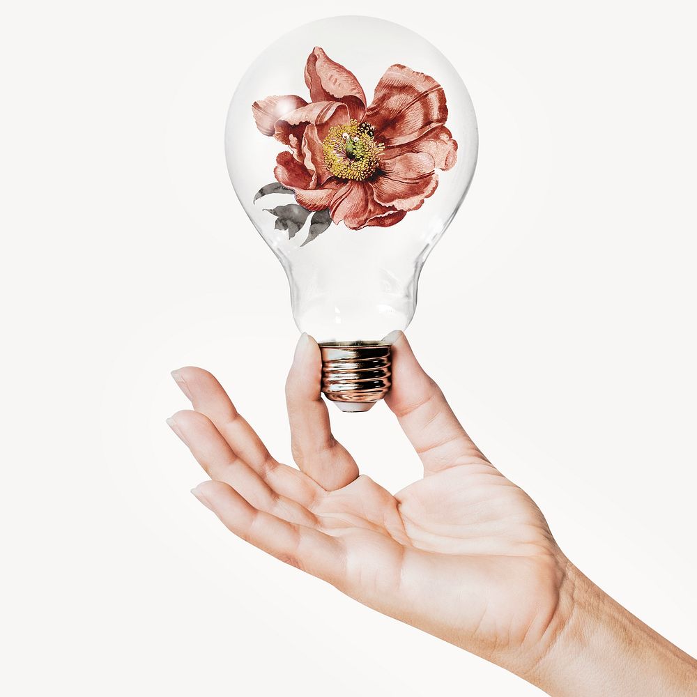 Dry flower, Autumn concept art with hand holding light bulb