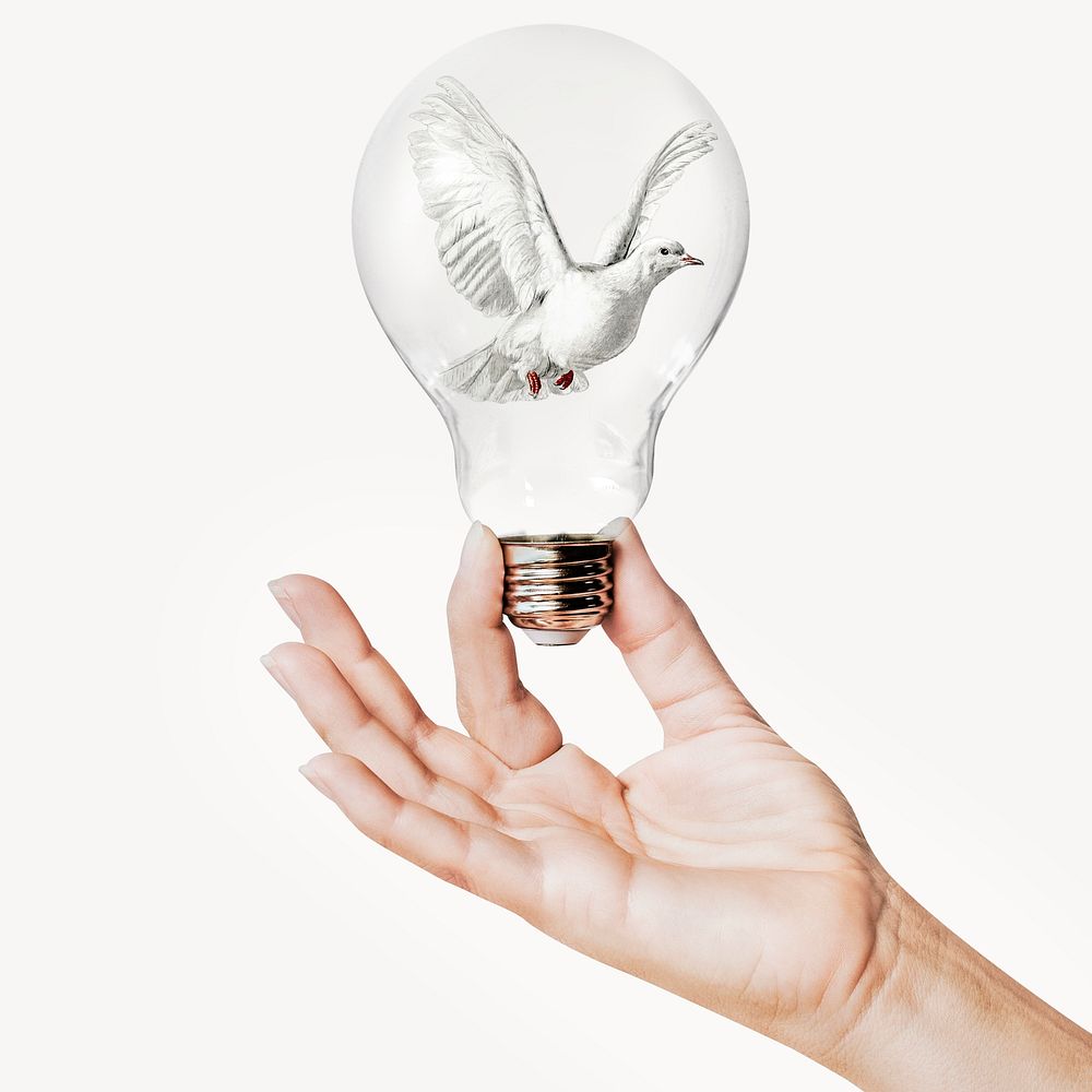 Flying dove, bird concept art with hand holding light bulb