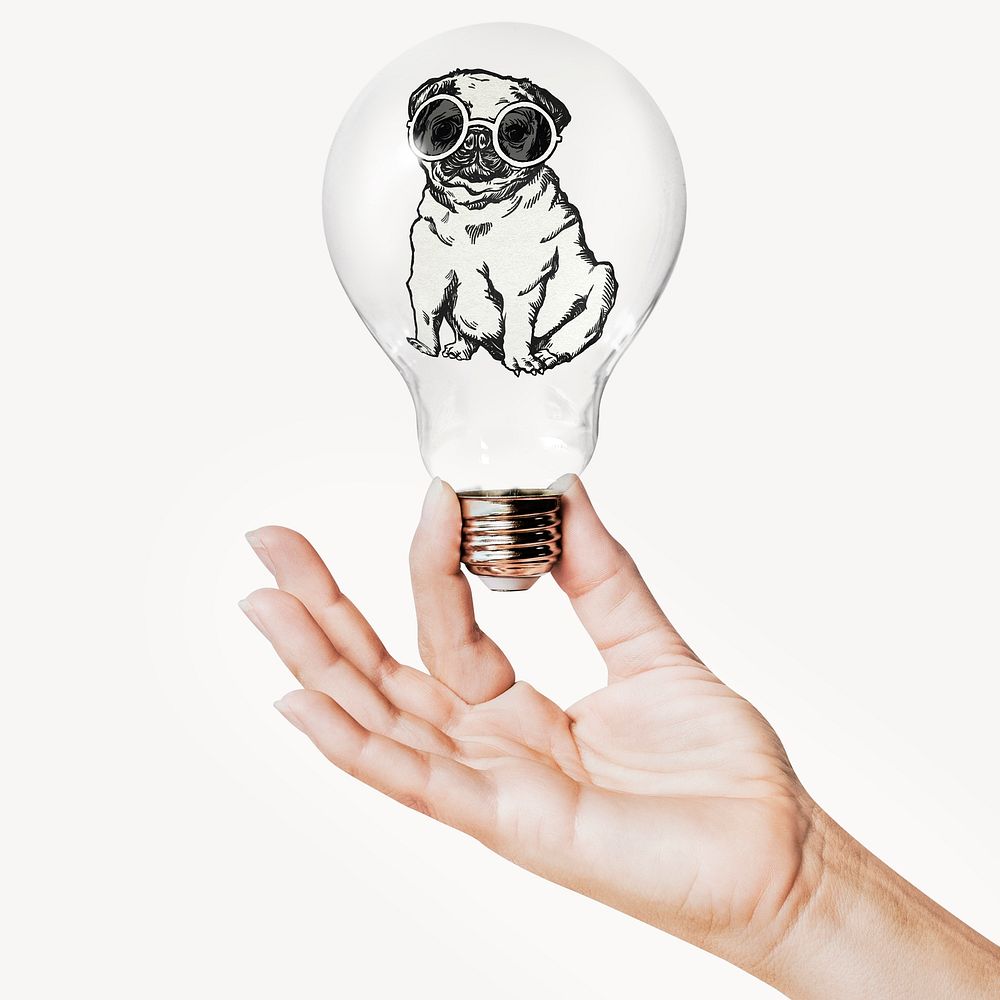 Pug puppy, pet fashion concept art with hand holding light bulb