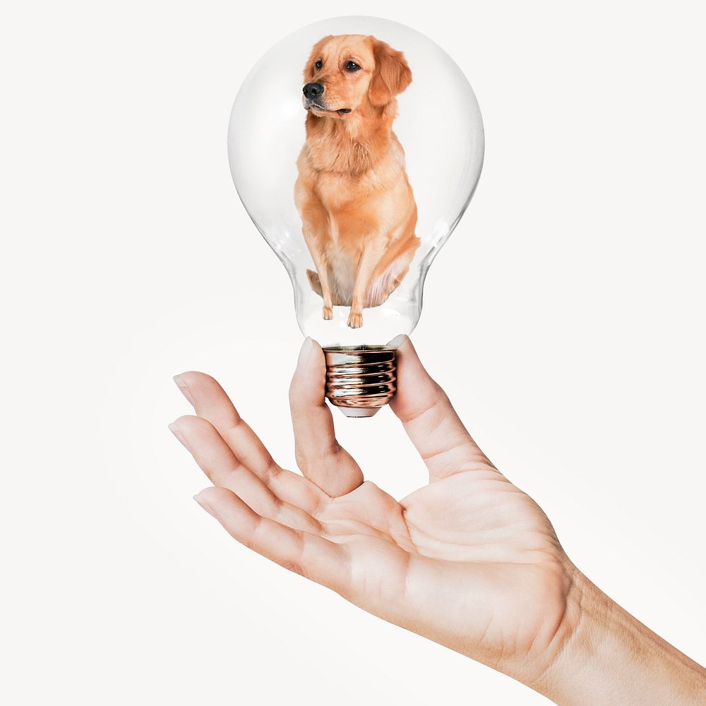 Golden Retriever dog, pet concept art with hand holding light bulb