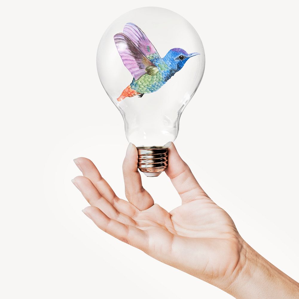 Rainbow hummingbird, animal concept art with hand holding light bulb