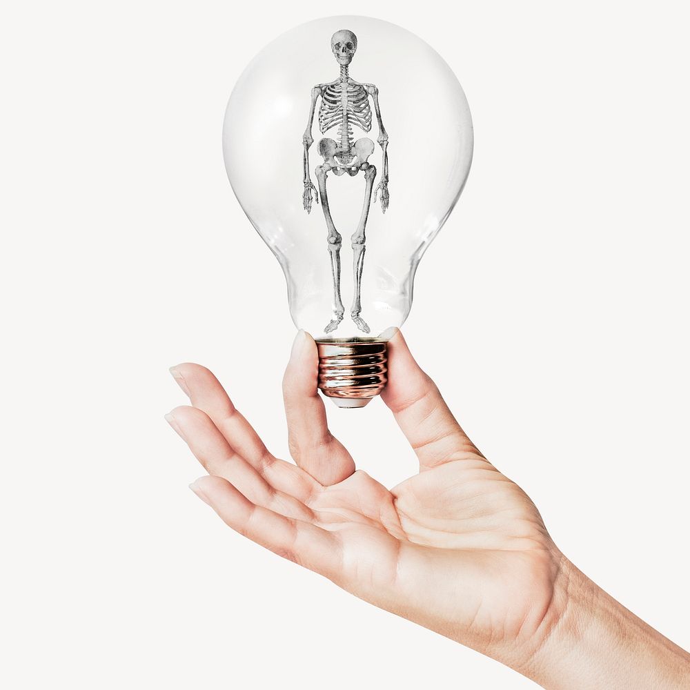 Human skeleton, medical concept art with hand holding light bulb