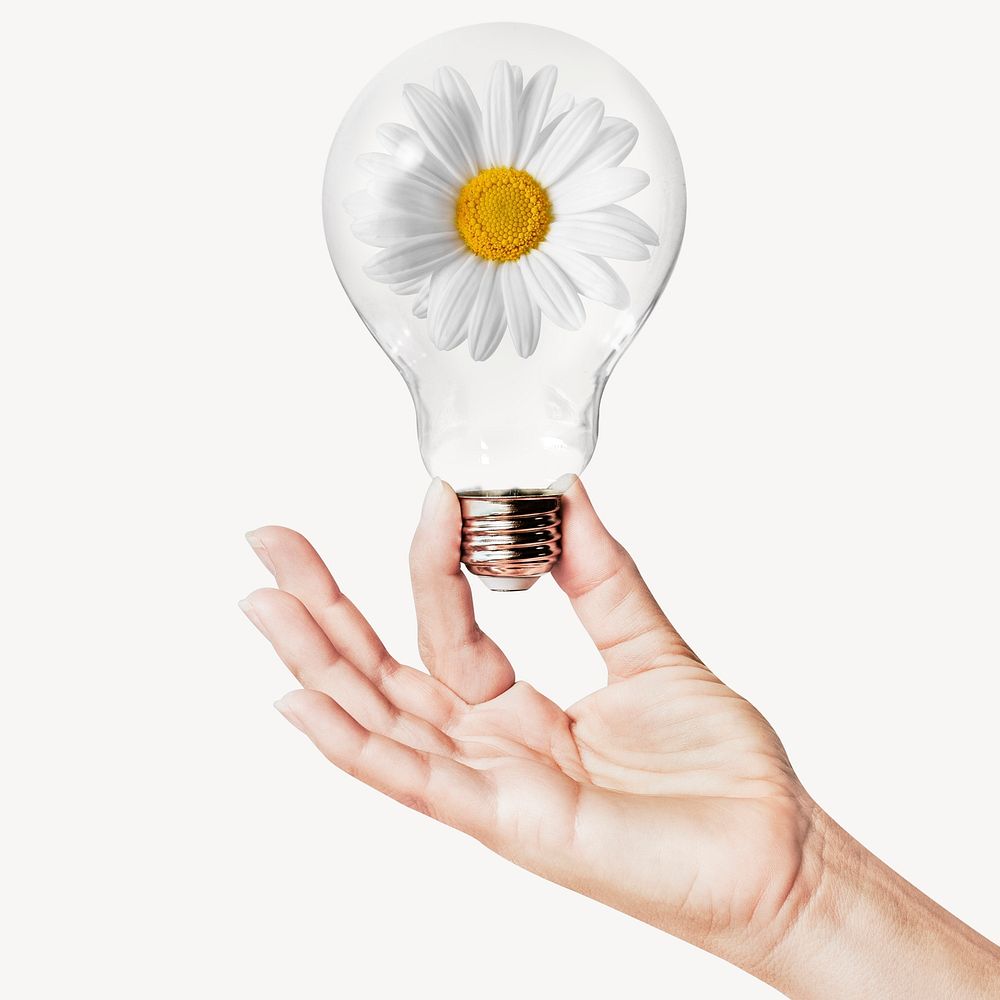 White daisy flower, Spring concept art with hand holding light bulb