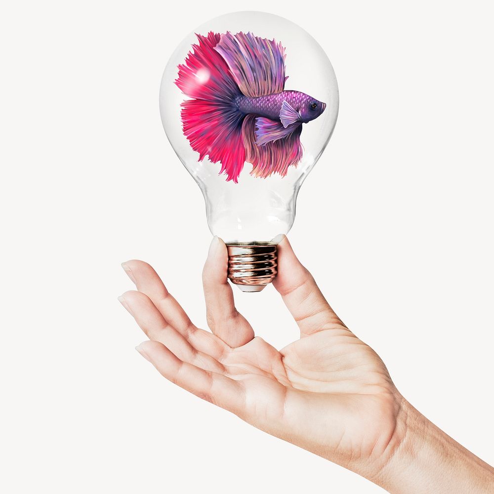 Siamese fighting fish, animal concept art with hand holding light bulb