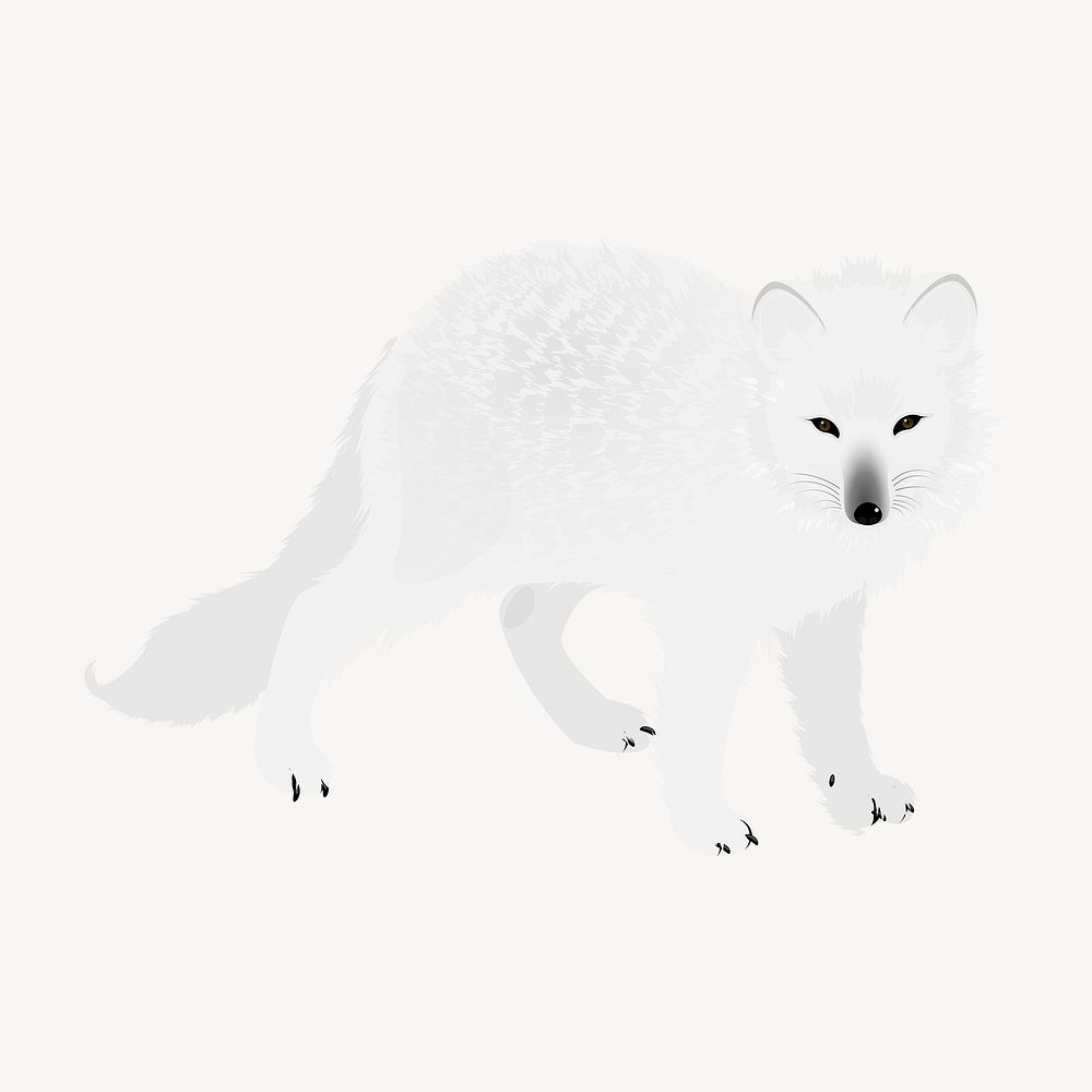 Arctic fox sticker, animal illustration psd. Free public domain CC0 image.