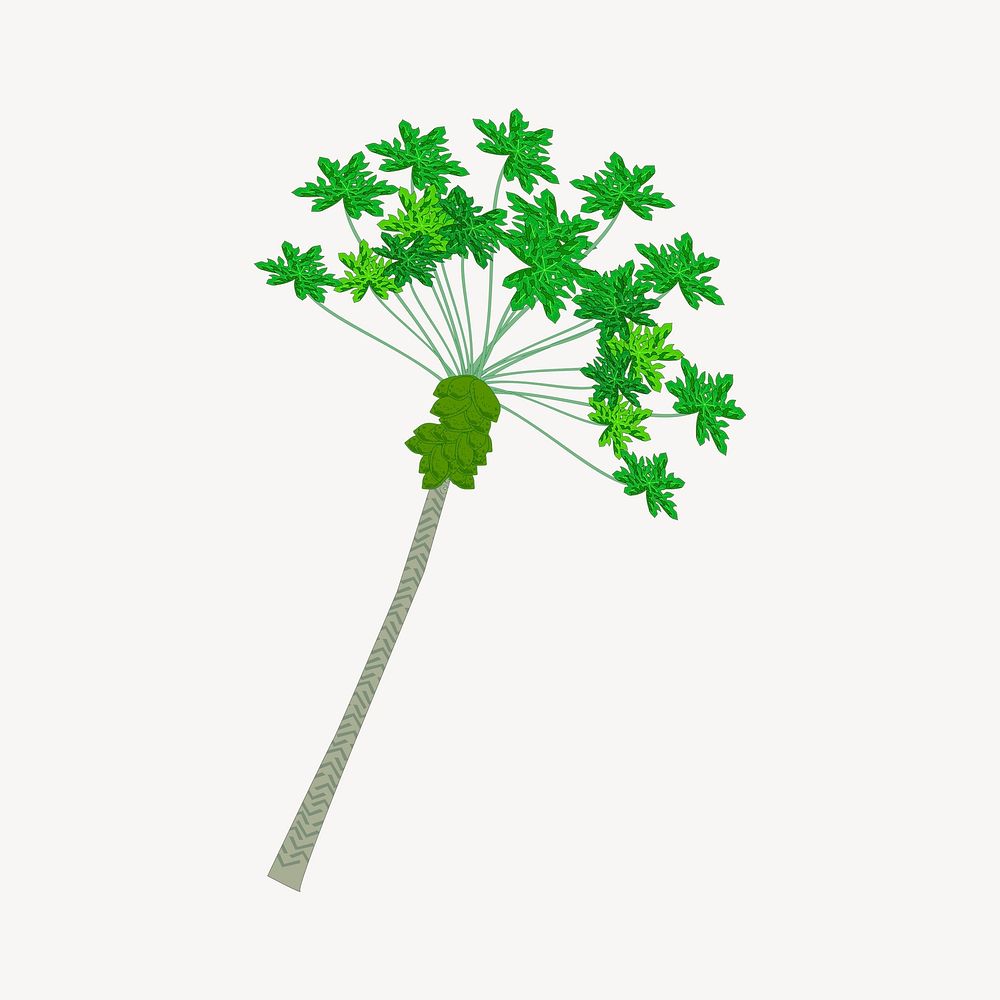 Papaya tree clipart, botanical illustration vector. Free public domain CC0 image.