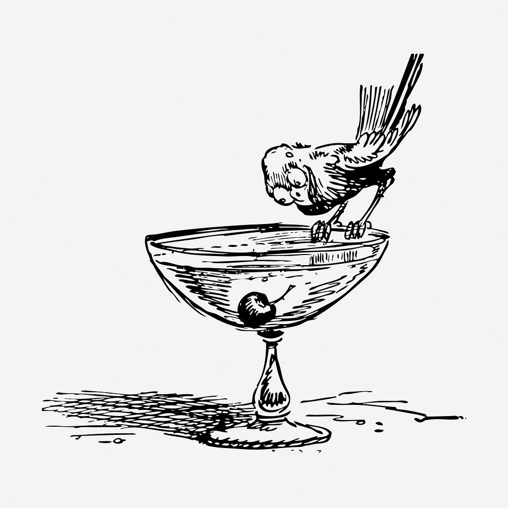 Cocktail glass drawing, vintage alcoholic drink illustration. Free public domain CC0 image.