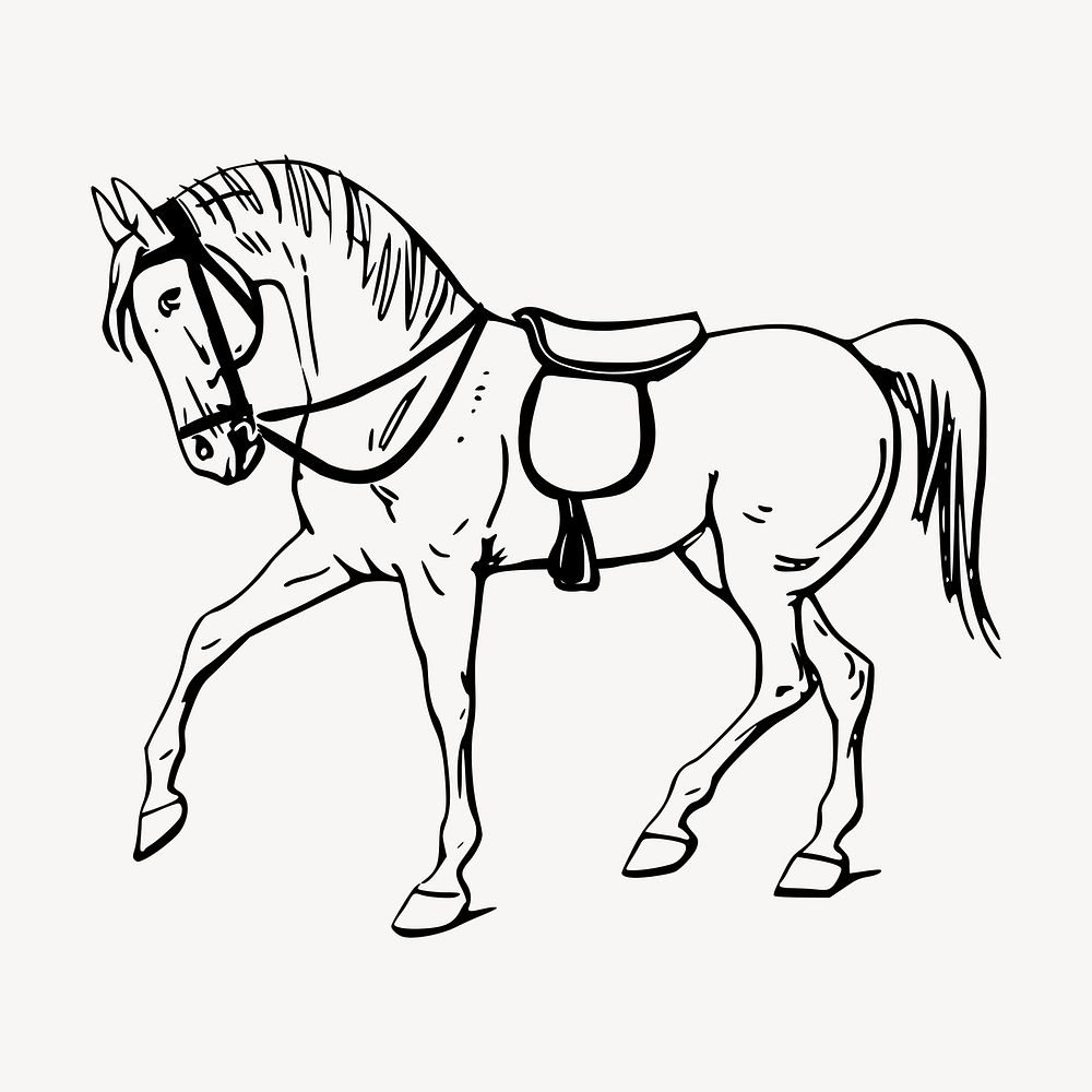 Horse clipart, vintage animal illustration vector. Free public domain CC0 image.