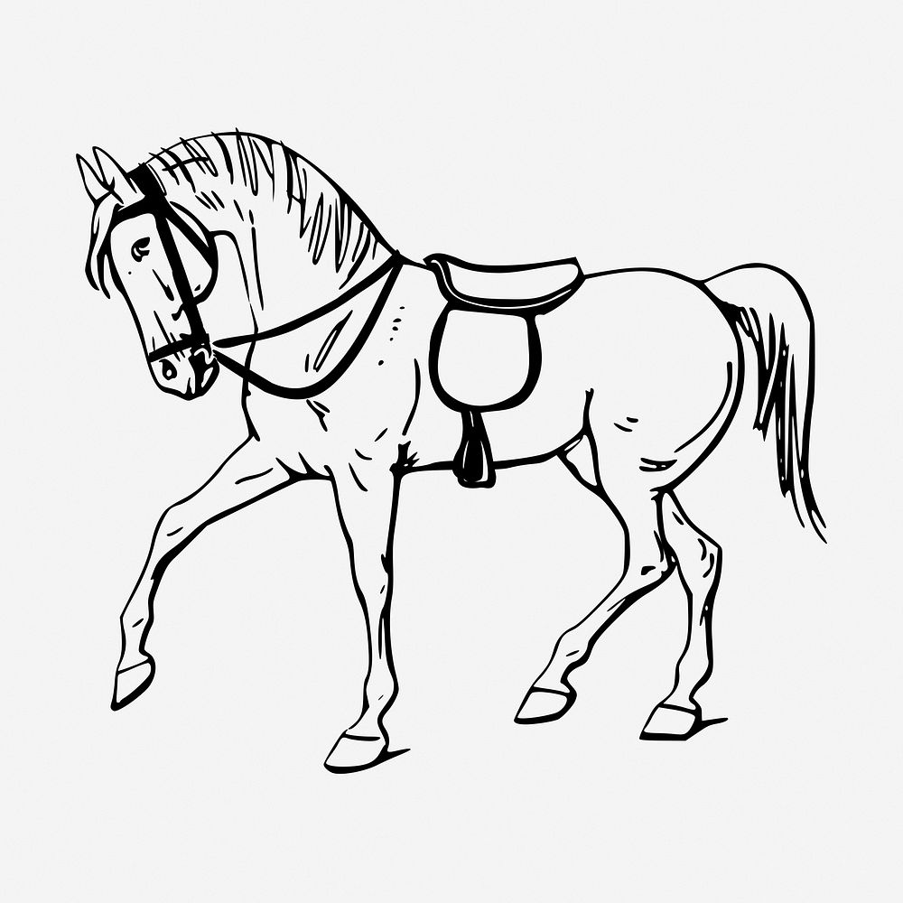 Horse drawing, vintage animal illustration. Free public domain CC0 image.