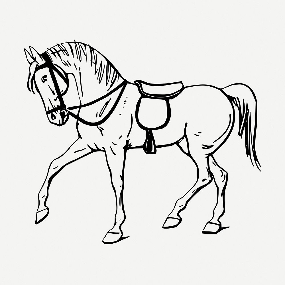 Horse drawing, vintage animal illustration psd. Free public domain CC0 image.