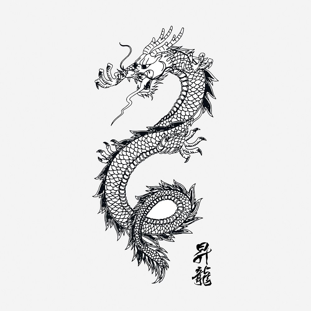 Chinese dragon drawing, vintage mythical creature illustration. Free public domain CC0 image.