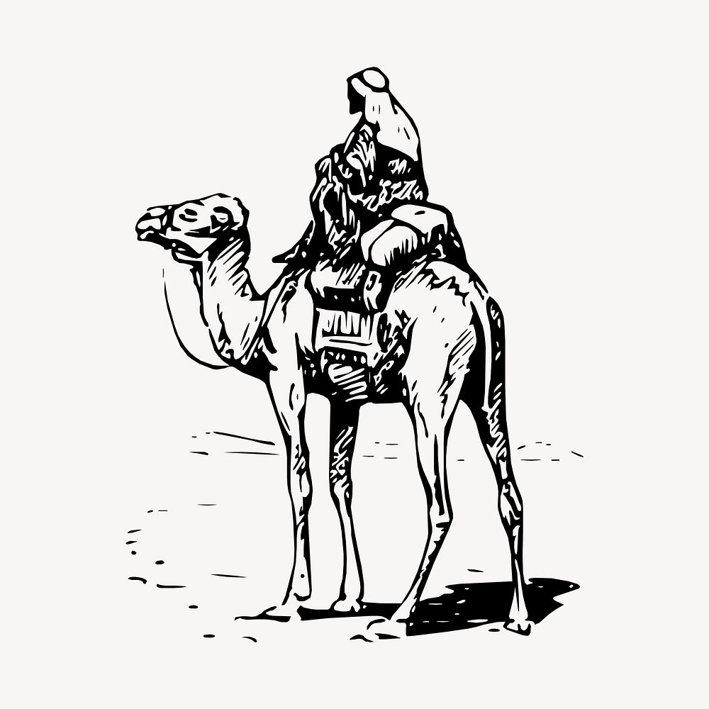 Camel rider clipart, vintage animal illustration vector. Free public domain CC0 image.