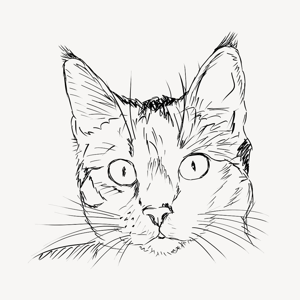 Cat portrait clipart, vintage animal illustration vector. Free public domain CC0 image.