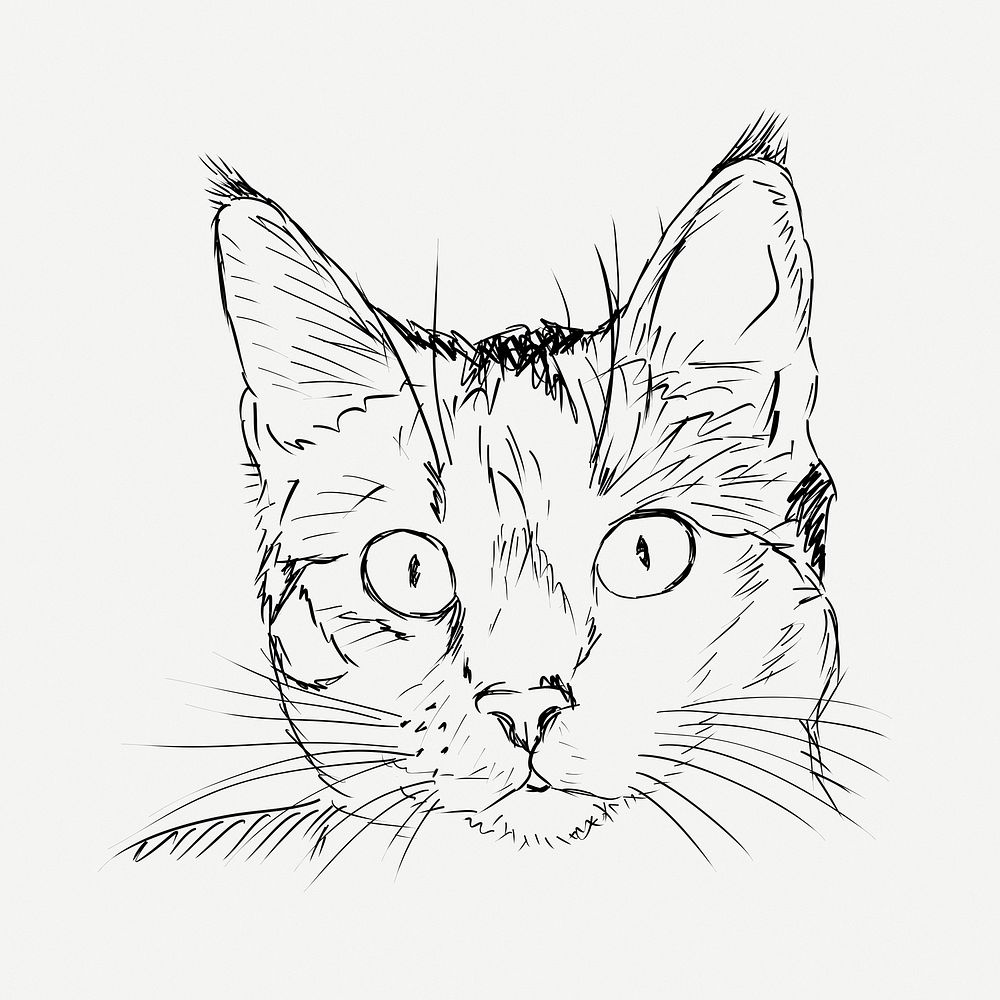 Cat portrait drawing, vintage animal illustration psd. Free public domain CC0 image.