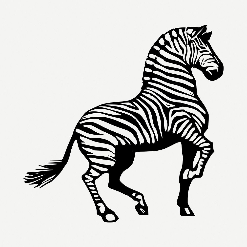 Zebra drawing, vintage animal illustration psd. Free public domain CC0 image.
