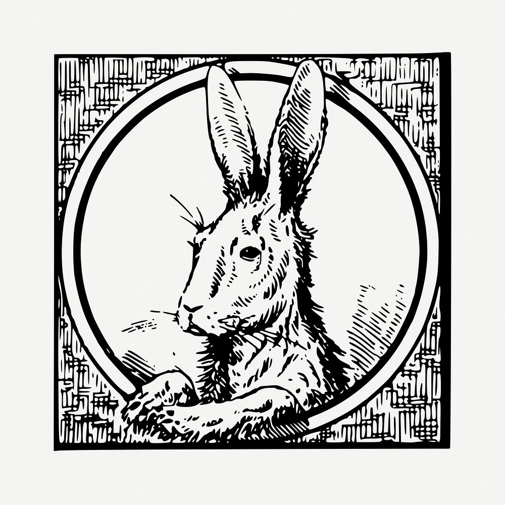 Rabbit drawing, vintage animal illustration psd. Free public domain CC0 image.