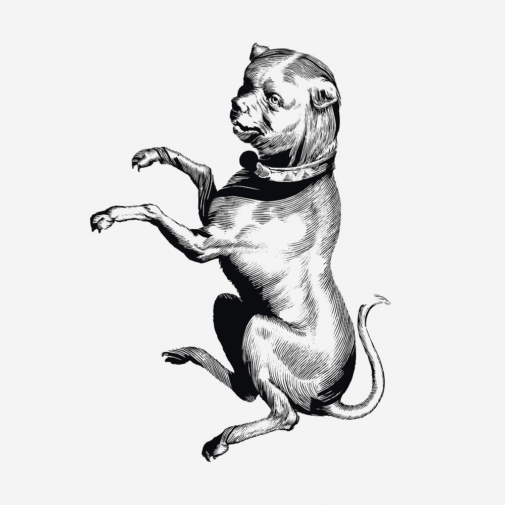Creepy dog drawing, vintage mythical creature illustration. Free public domain CC0 image.