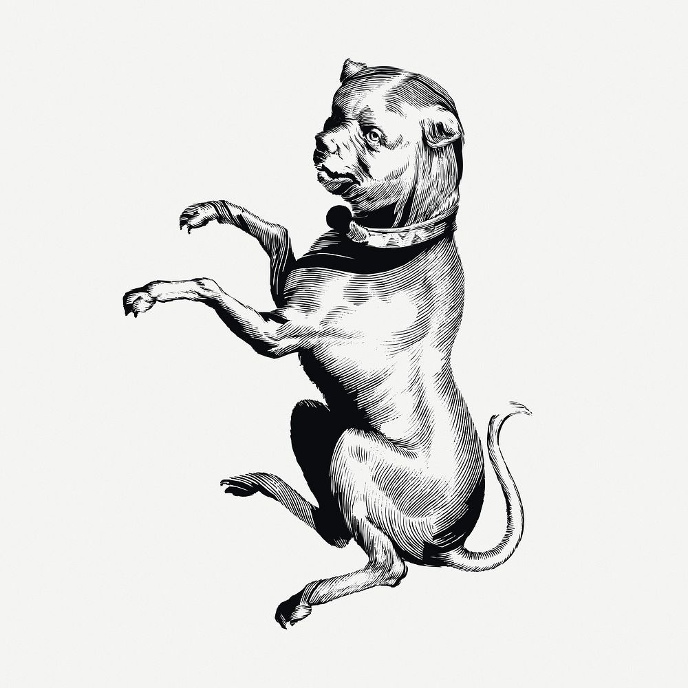 Creepy dog drawing, vintage mythical creature illustration psd. Free public domain CC0 image.