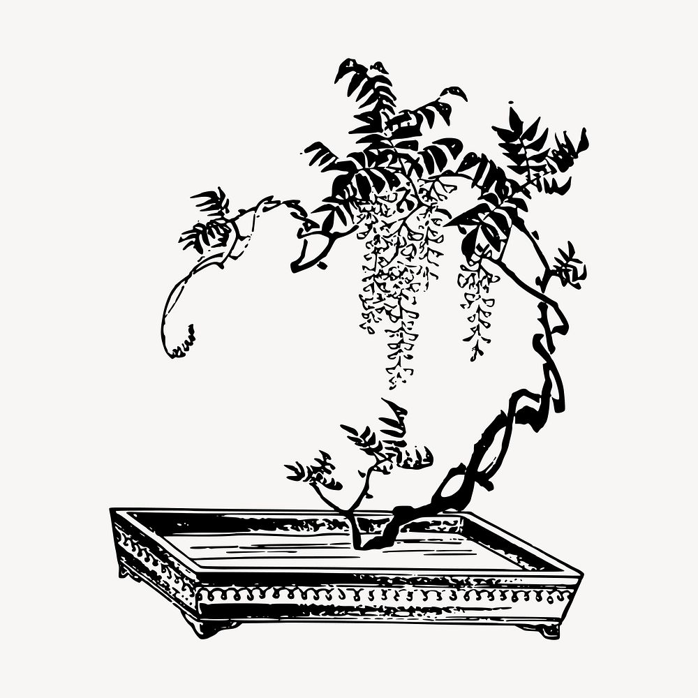 Bonsai tree clipart, vintage botanical illustration vector. Free public domain CC0 image.