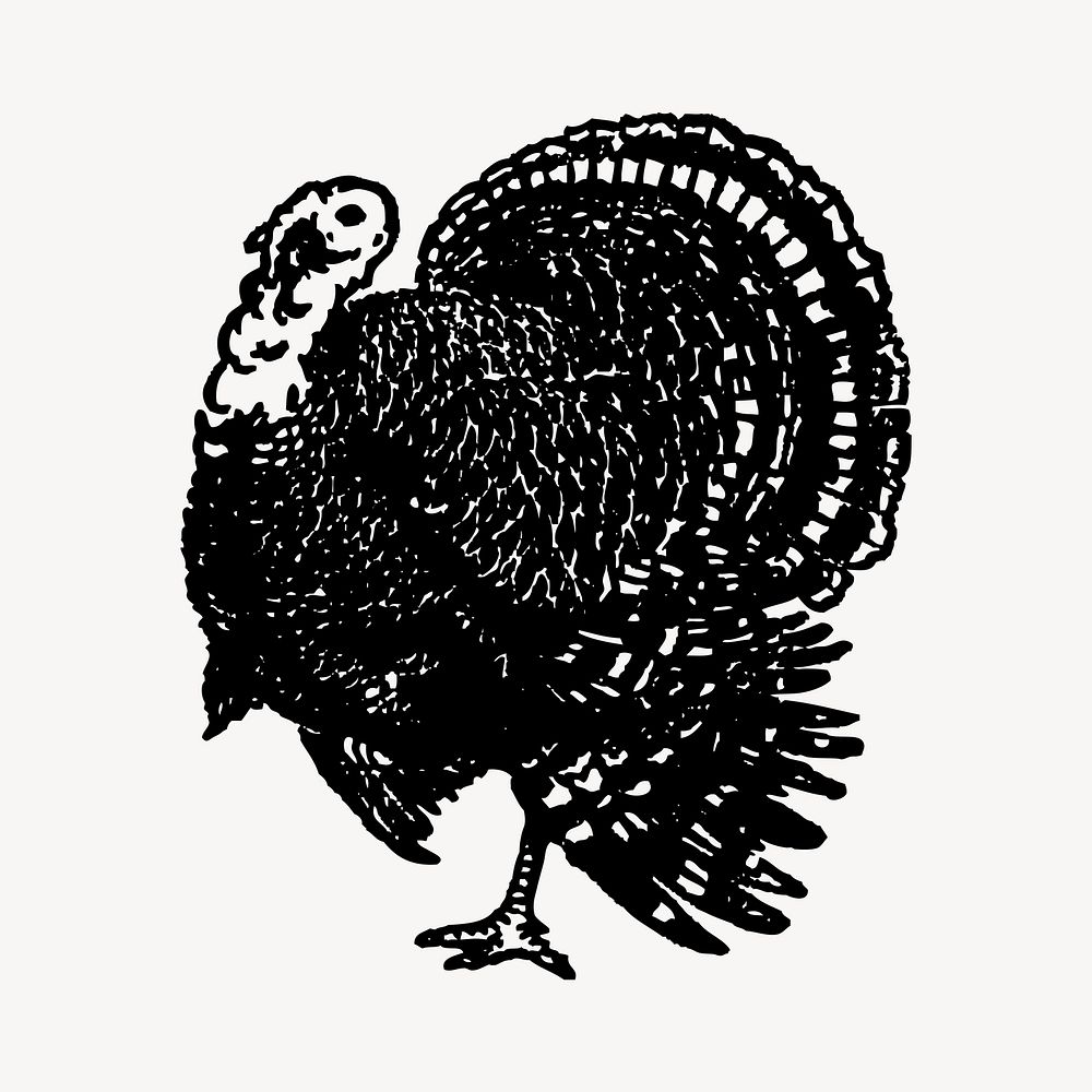 Turkey bird clipart, vintage animal illustration vector. Free public domain CC0 image.