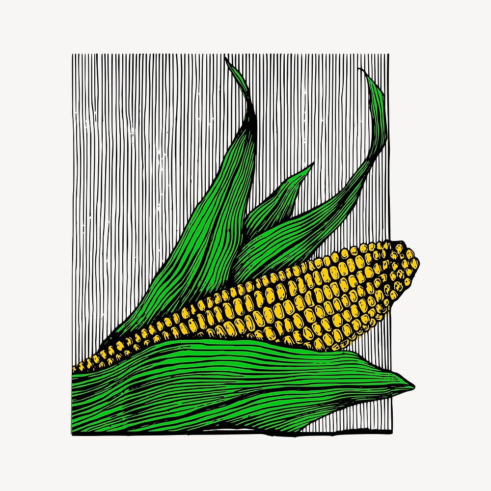 Corn clipart, vintage vegetable illustration vector. Free public domain CC0 image.