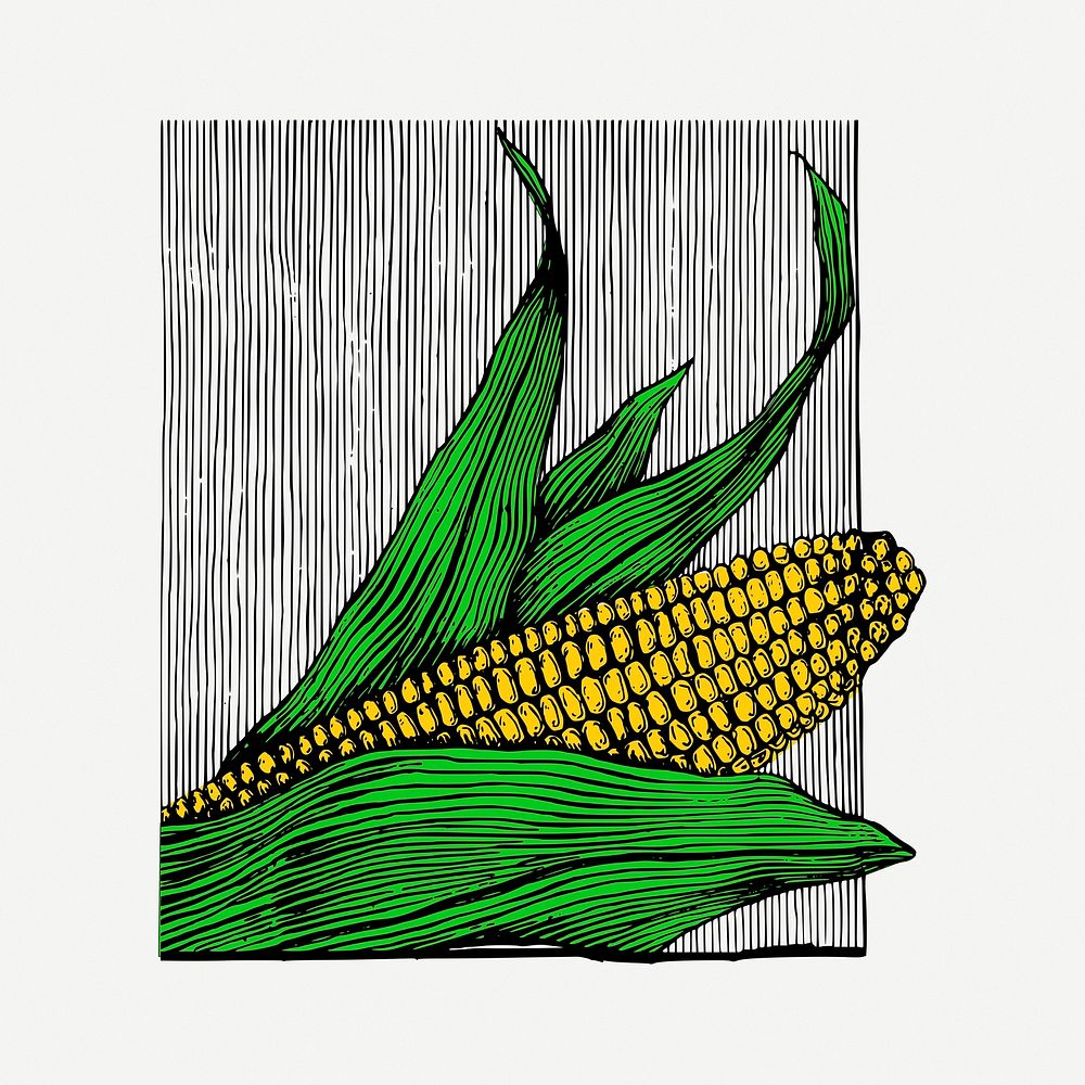 Corn clipart, vintage vegetable illustration psd. Free public domain CC0 image.