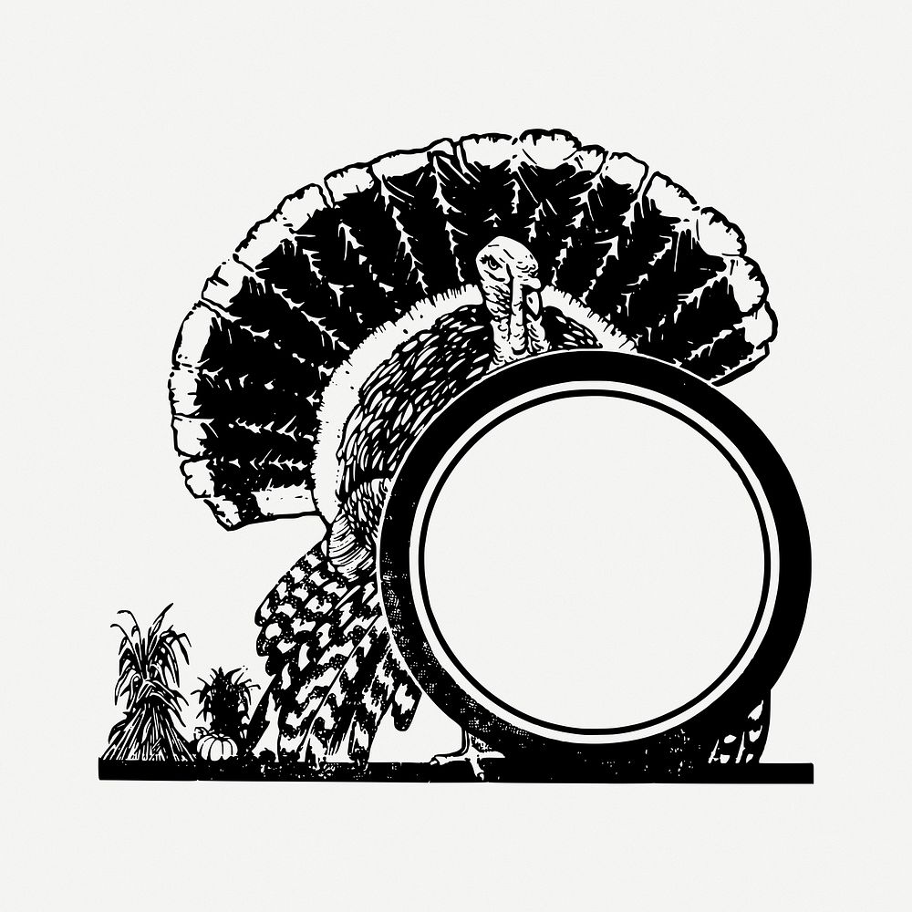 Turkey frame drawing, vintage animal illustration psd. Free public domain CC0 image.
