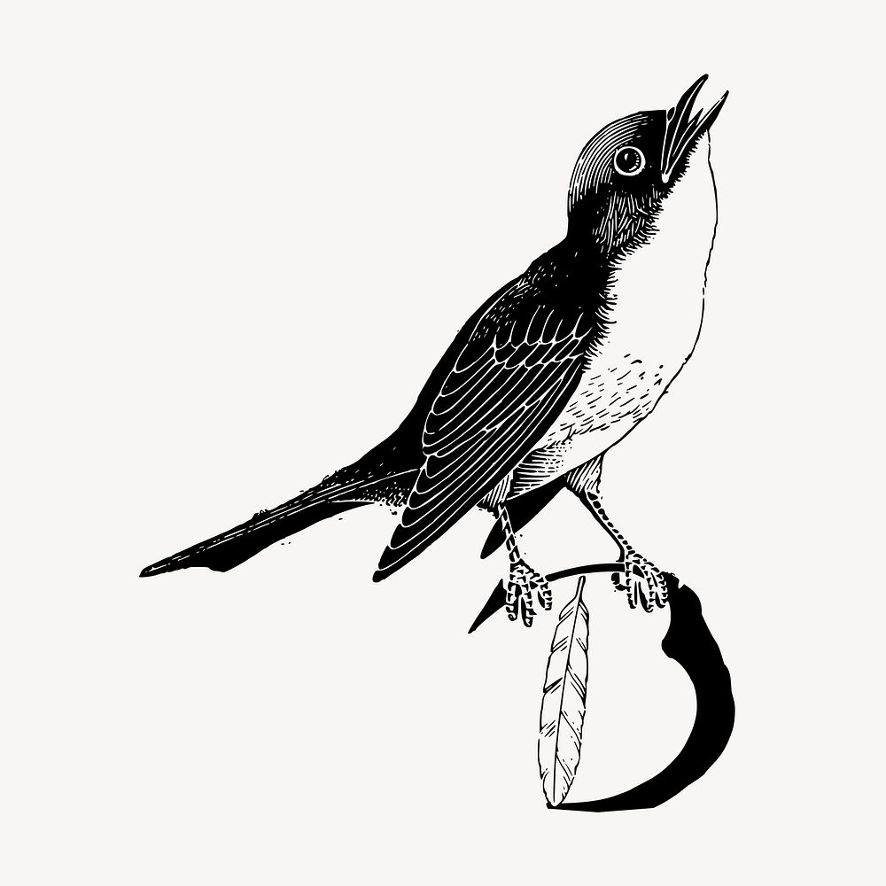 Bird clipart, vintage animal illustration vector. Free public domain CC0 image.