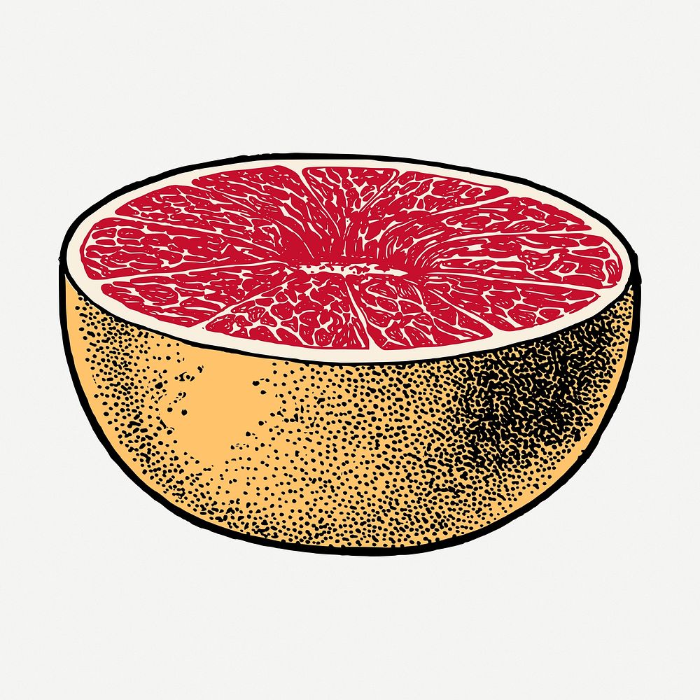Grapefruit clipart, vintage fruit illustration psd. Free public domain CC0 image.