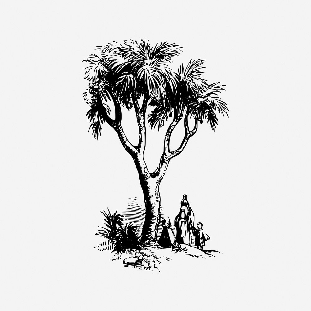 Tree, nature illustration. Free public domain CC0 image.